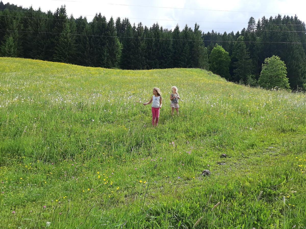Apartments Teglbauernhof, Huette, Chalet, Mobilheim, Appartement, Ferienwohnung, Pension, Urlaub Uttendorf Extérieur photo