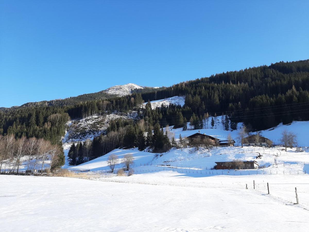 Apartments Teglbauernhof, Huette, Chalet, Mobilheim, Appartement, Ferienwohnung, Pension, Urlaub Uttendorf Extérieur photo