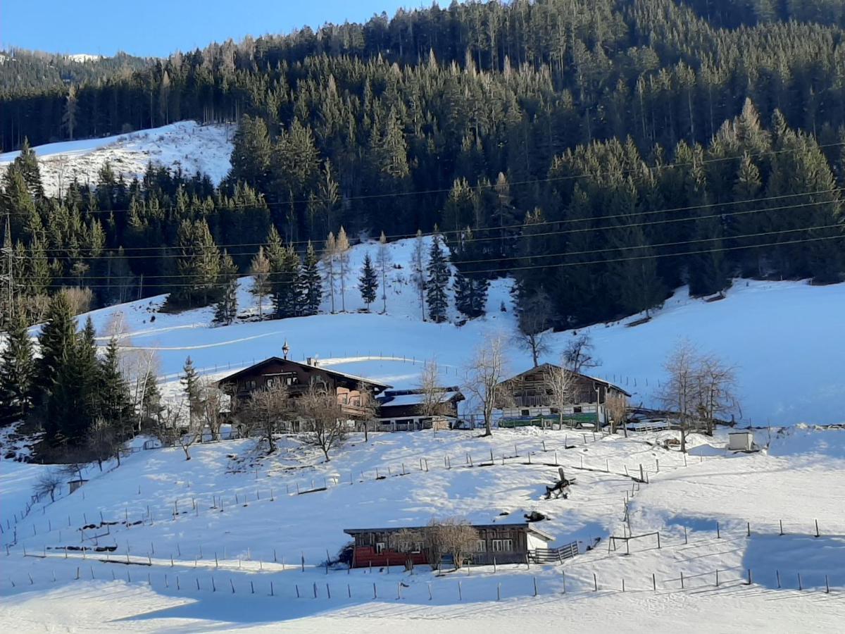 Apartments Teglbauernhof, Huette, Chalet, Mobilheim, Appartement, Ferienwohnung, Pension, Urlaub Uttendorf Extérieur photo